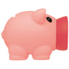 Plastic Piggy Bank