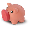 Plastic Piggy Bank
