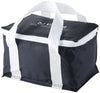 Mini Cooler Bag