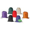 Enviro Sports Bag