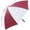Super Budget Automatic Umbrellas