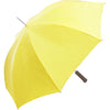 Super Budget Automatic Umbrellas