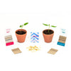 5 Stick Seed Packs  - Image 3
