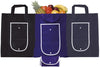 Rainham Fold Up Bags