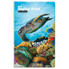 Bianco Tucson Full Colour Medium Notebooks