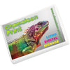 Colourful Erasers