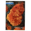 Large Seed Packets  - Image 5