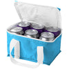 Mini Cooler Bag  - Image 4