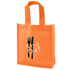 Mini Non Woven Gift Bags