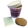 Plant Cups  - Image 6
