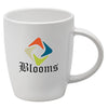 Darwin Mugs