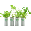 Desktop Garden Tube  - Image 2