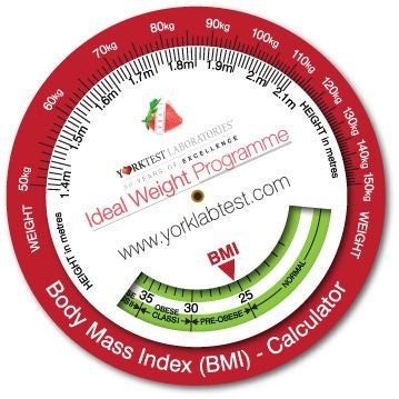 BMI Calculating Data Discs
