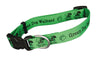 Medium Dog Collars