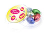 Maxi Gourmet Jelly Bean Pot