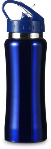 metallic sports bottle | Adband