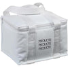 Mini Cooler Bag