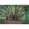 A4 Traditional Wall Calendars  - Image 3