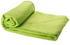 picnic blanket | Adband