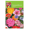 Seed Packets  - Image 4