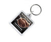 square plastic keyrings | Adband