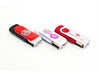 5 Day Express Twist USB Flashdrive 1GB