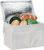 Small Fold Away Cooler Bags
