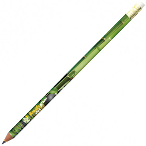 BiC Evolution Digital Pencil with Eraser