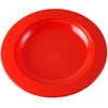 Unbreakable Plastic Plates  - Image 3