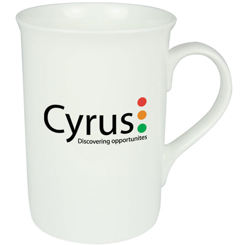 Windsor Bone China Mugs