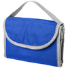 Carry Cooler Bags  - Image 4