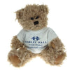Windsor Teddy Bear 20cm
